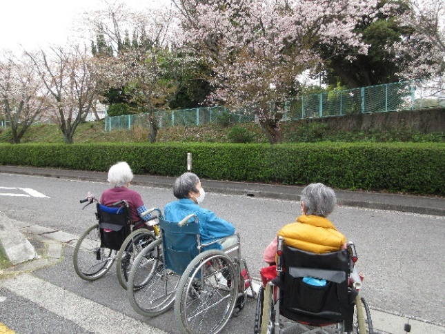 花見